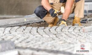 Ace Landscape Gardeners Quotes