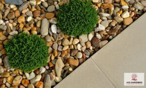 Cheltenham Garden Designers affordable prices