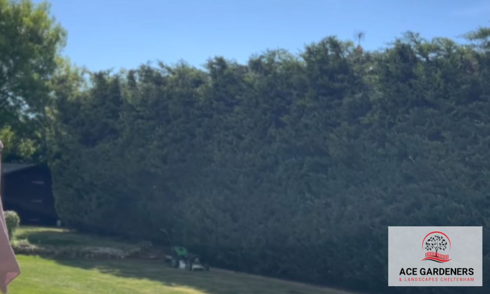 Cheltenham Garden Maintenance Gardeners