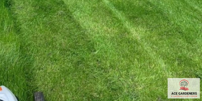 Cheltenham Lawn Care
