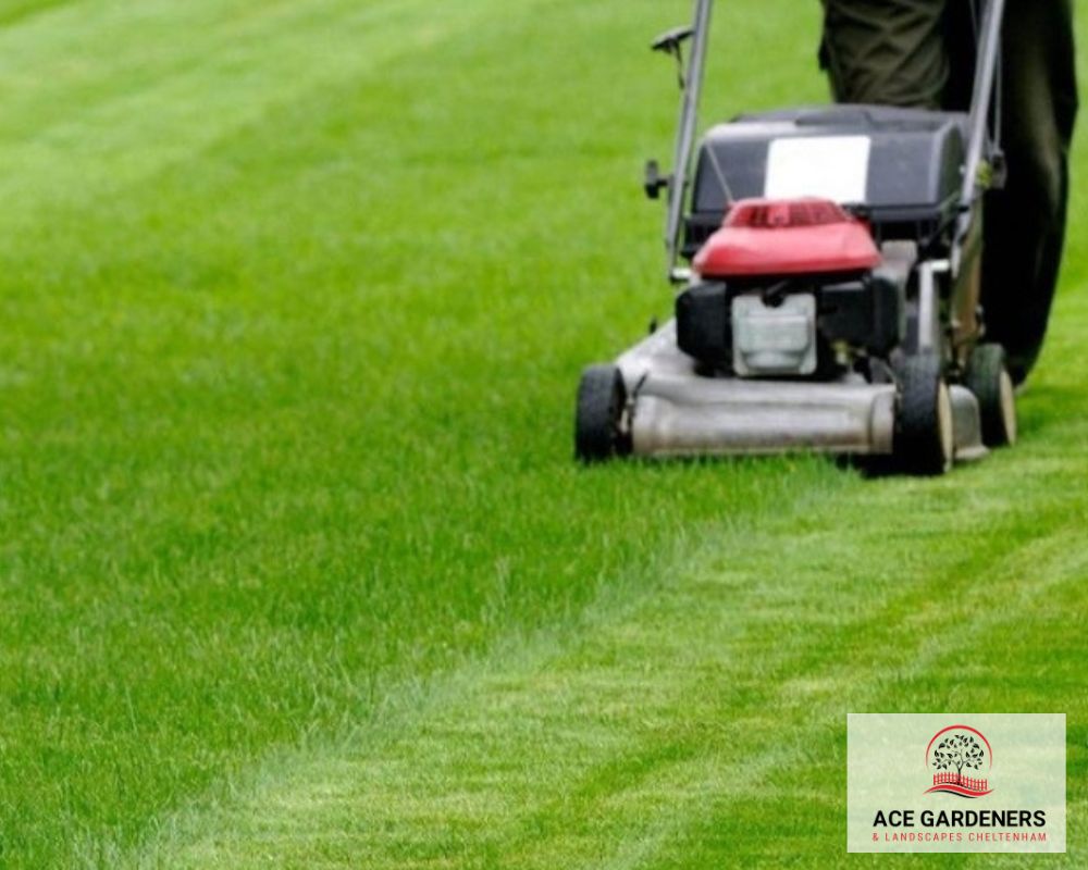 Cheltenham Lawn Care GL50
