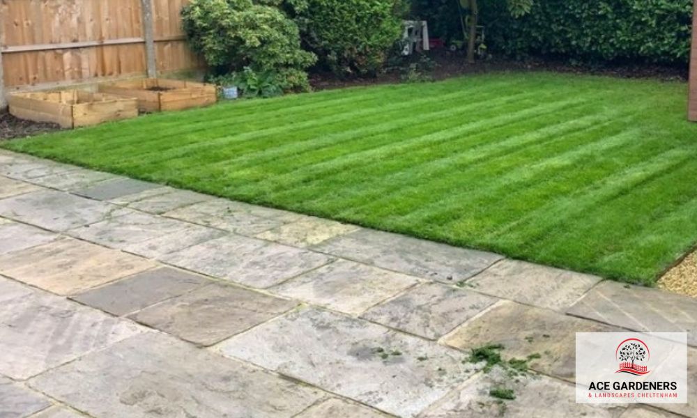 Cheltenham Lawn Care Gardeners