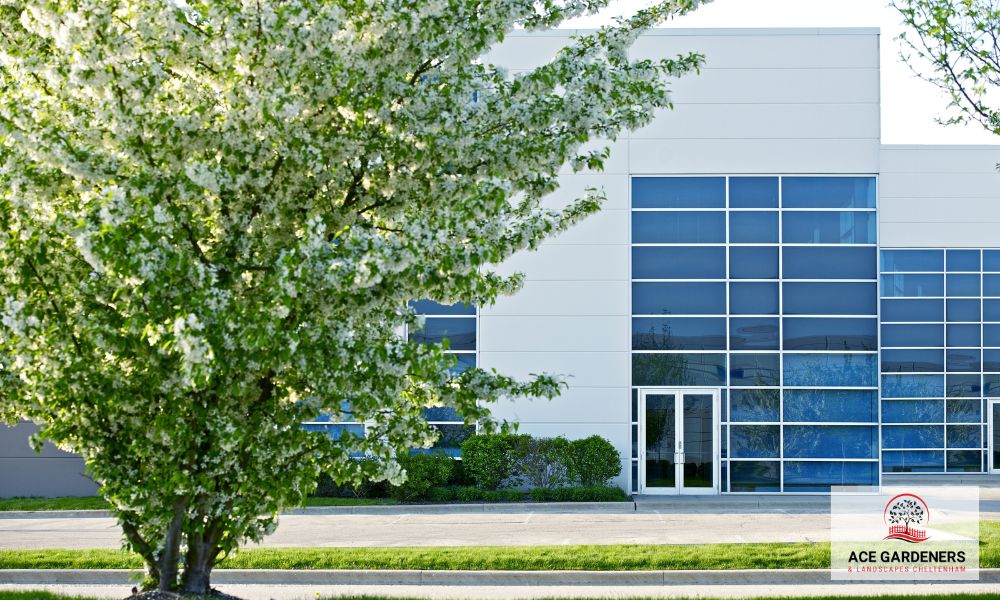 Commercial Landscaper fully insured