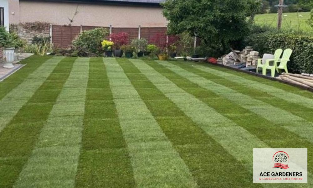 GL50 Turfing Gardener