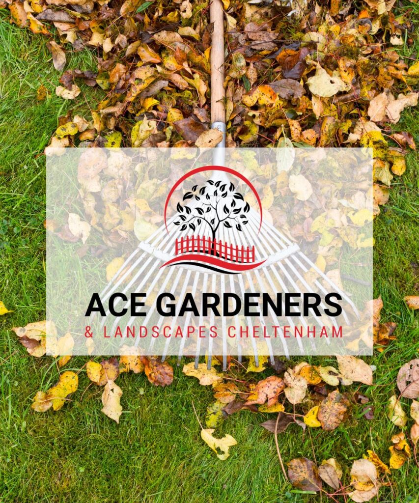 Garden Maintenance Why choose us