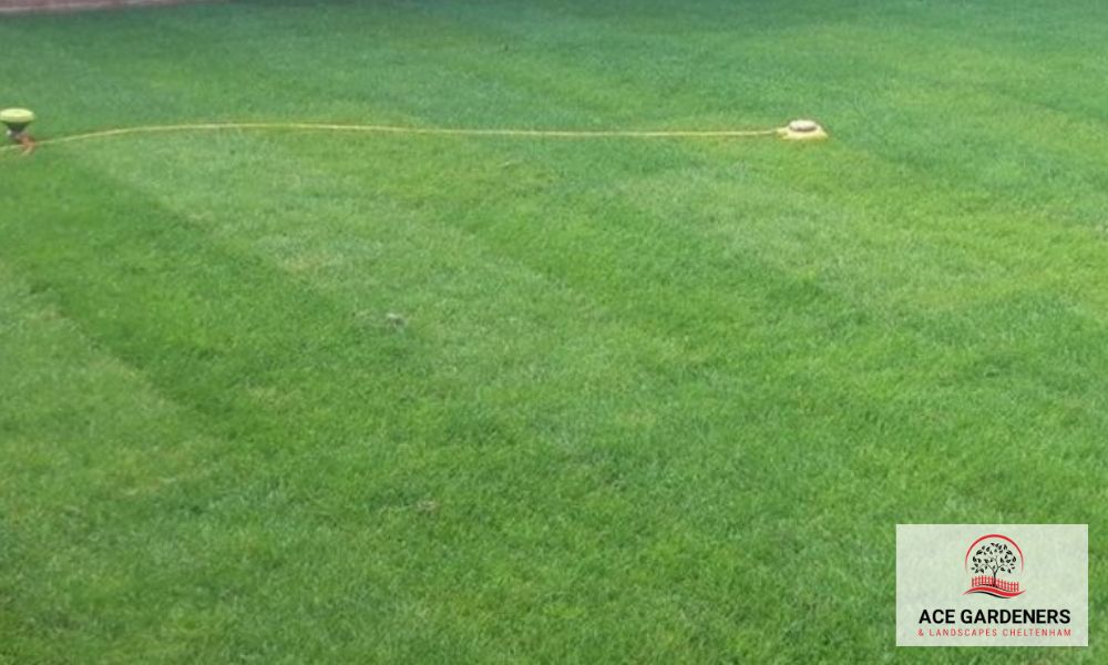 Gardener Turfing GL50