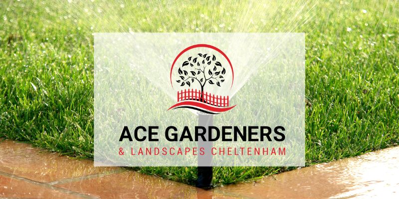 Lawncare why choose us