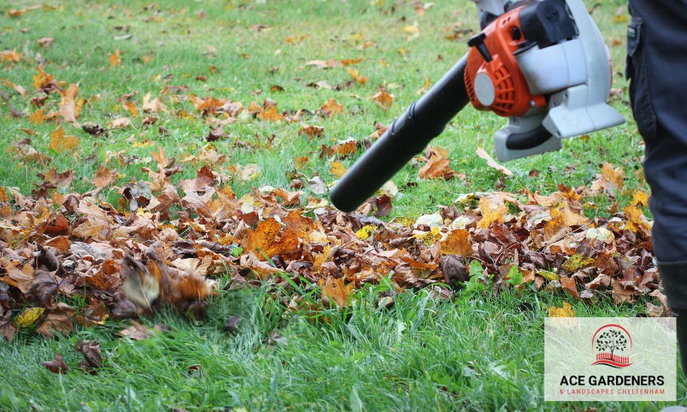 Professional service