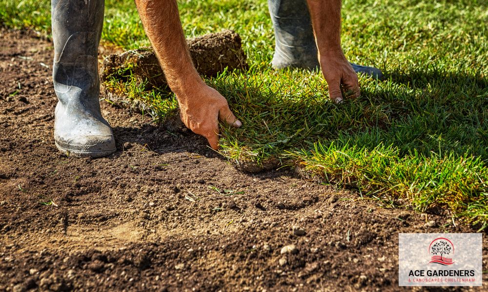 customer satisfaction