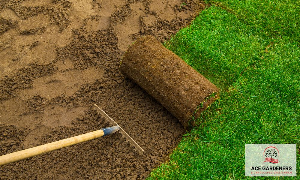 estimates and consultation