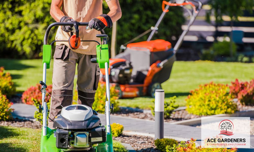 insured and certified