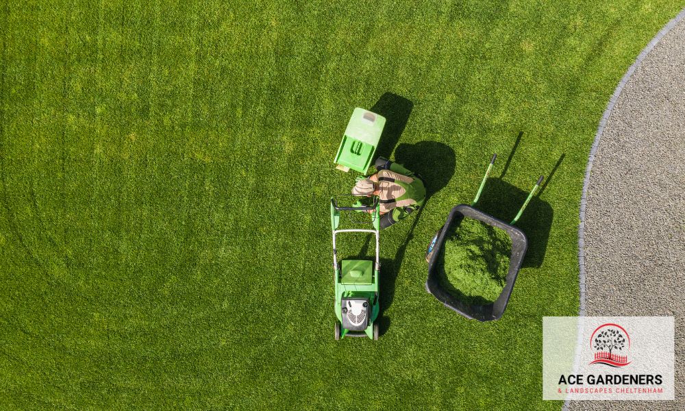 quote and consultation